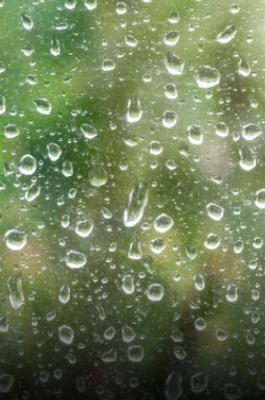 Window rain drops